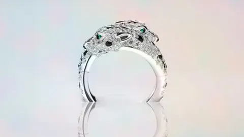 Cartier watch illustrating its materials, construction and design