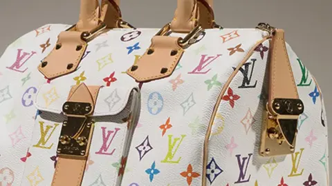 Louis Vuitton bag illustrating its materials, construction and design